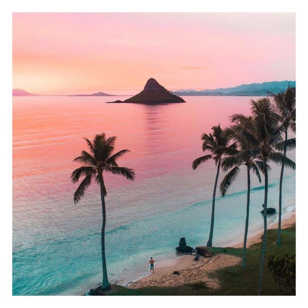 Meet your Posher, Yoshiko